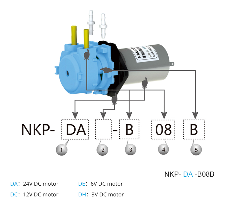 2026 new NKP 6V 12V 24V DC mot - Nutrition & Fitness Coaching Fulham recension och pris