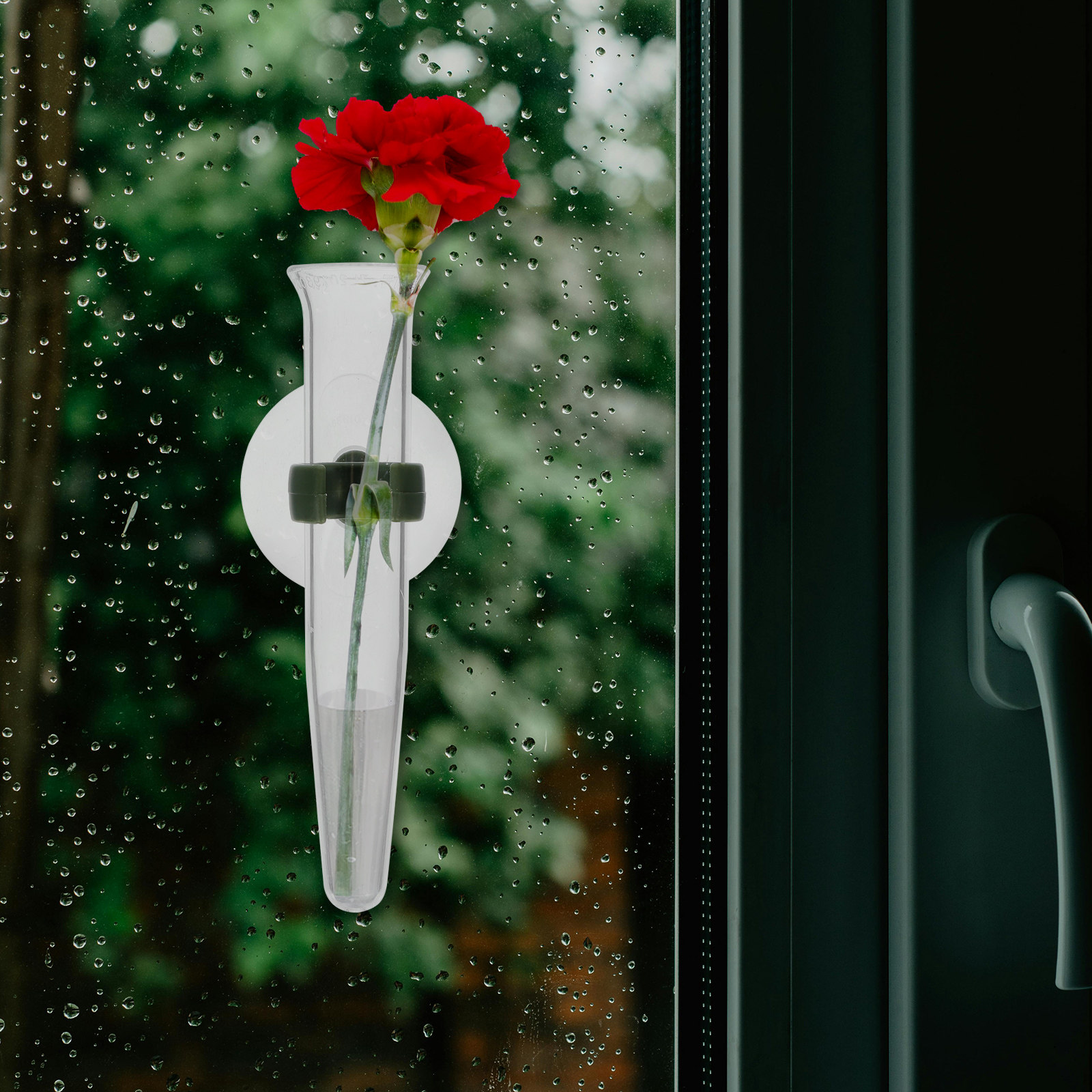 8Pcs Flower Hose Storage Silic - Nutrition & Fitness Coaching Fulham recension och pris